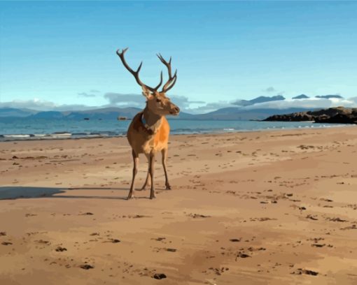 Stag On A Beach Landscape Diamond Painting