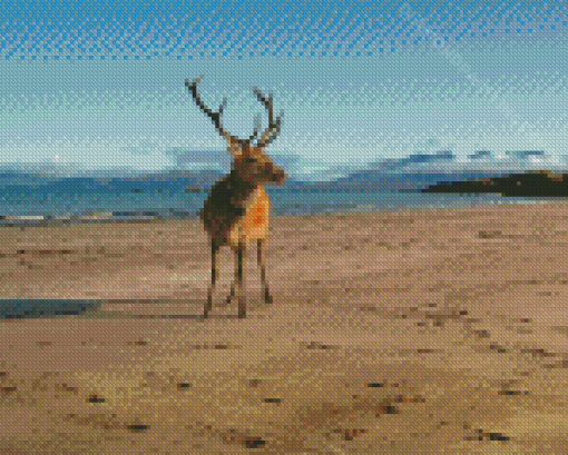 Stag On A Beach Landscape Diamond Paintings