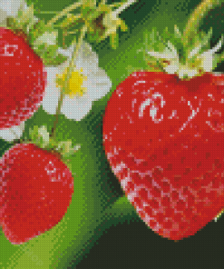 Strawberry Fruit With Flowers Diamond Paintings