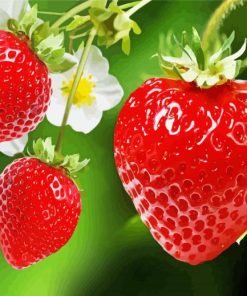 Strawberry Fruit With Flowers Diamond Painting