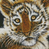 Sweet Baby Face Tiger Art Diamond Paintings