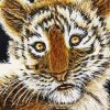 Sweet Baby Face Tiger Art Diamond Painting