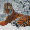 Tiger In The Snow Diamond Paintings
