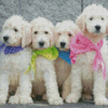 White Goldendoodle Puppies Diamond Paintings