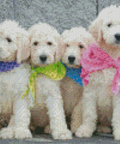 White Goldendoodle Puppies Diamond Paintings