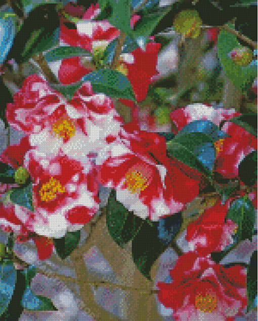 Wild Camellias Diamond Paintings