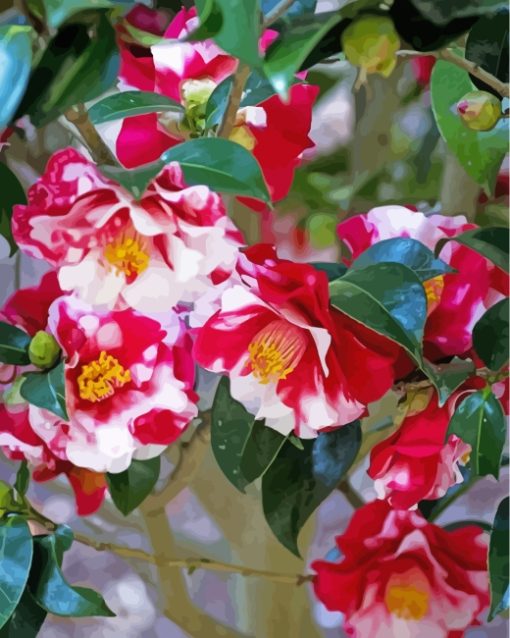 Wild Camellias Diamond Painting