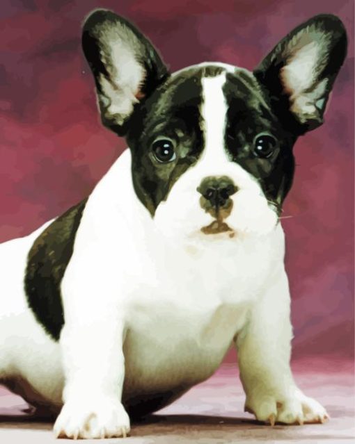 Black And White French Bulldog Pet Diamond Painting