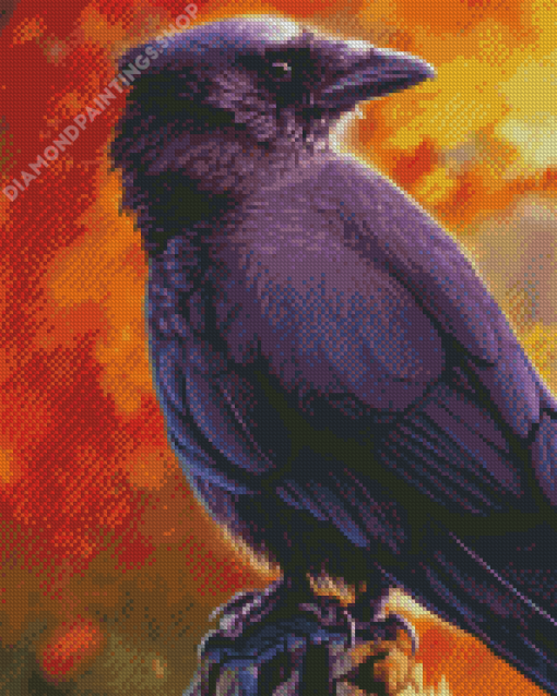 Common Raven Bird Diamond Paintings
