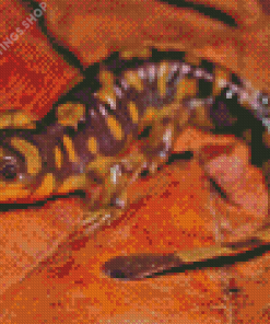 Eastern Tiger Salamander Diamond Paintings