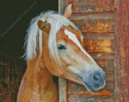 Haflinger Horse Head Diamond Paintings