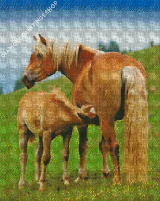 Haflinger Horse Mother And Baby Diamond Paintings
