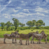 Kruger National Park Zebras Diamond Paintings