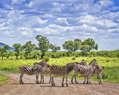 Kruger National Park Zebras Diamond Painting