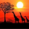 South Africa Kruger Park Giraffes Silhouette Diamond Painting