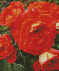 Orange Fairytale Roses Diamond Paintings