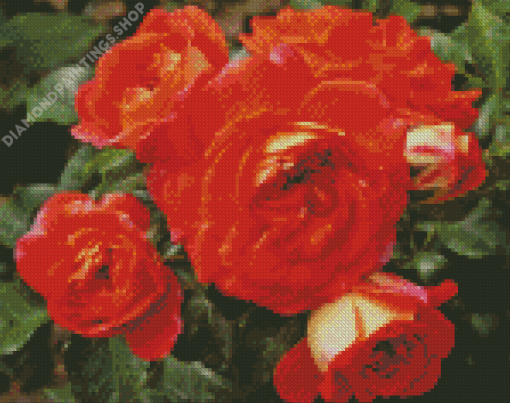 Orange Fairytale Roses Diamond Paintings