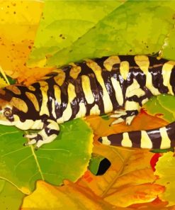 Barred Tiger Salamander Diamond Painting