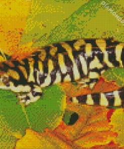 Barred Tiger Salamander Diamond Painting