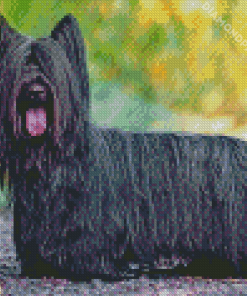 Black Skye Terrier Diamond Painting