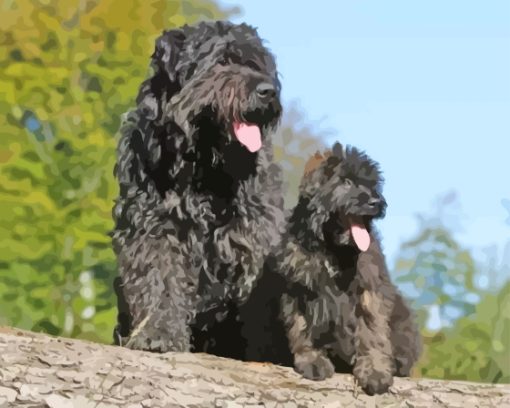 Bouvier Des Flandres Dog And Puppy Diamond Painting