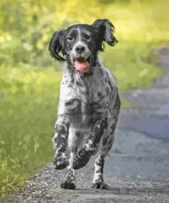 English Setter Dog Running Diamond Painting