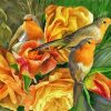 Robins And Roses Diamond Painting