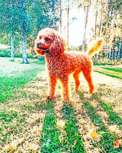 Adorable Corgi Poodle Diamond Painting