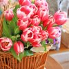 Spring Tulips Flowers Basket Diamond Painting