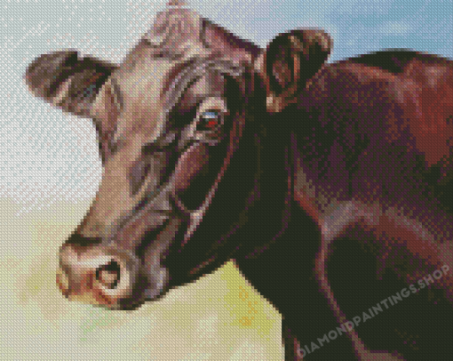 Aberdeen Angus Cattle Diamond Painting