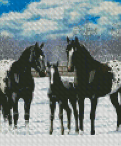 Black Appaloosa Family Diamond Painting