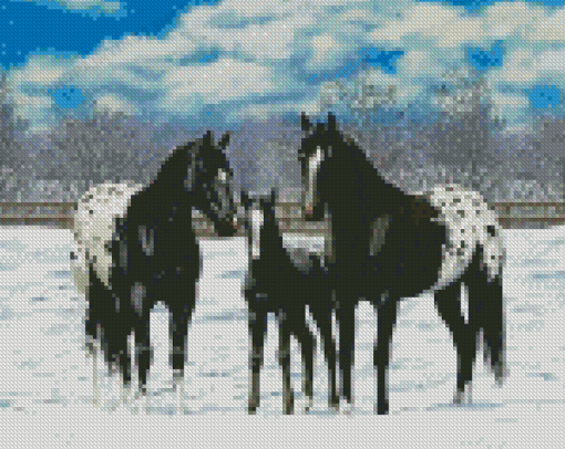 Black Appaloosa Family Diamond Painting