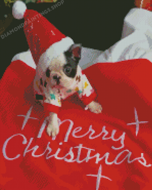 Christmas Boston Terrier Puppy diamond painting