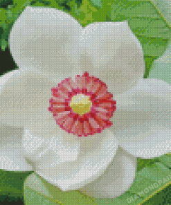 Magnolia Flower Diamond Painting