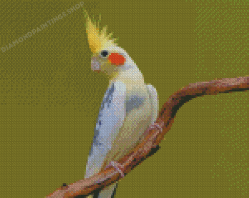 Cockatiel Parrot Diamond Painting