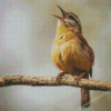 Carolina Bird Singing Diamond Painting