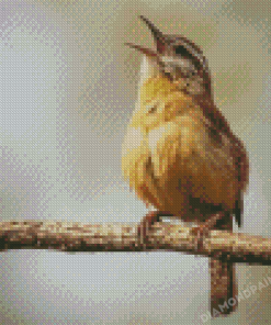 Carolina Bird Singing Diamond Painting