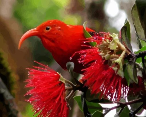 Red Kauai Bird Diamond Painting