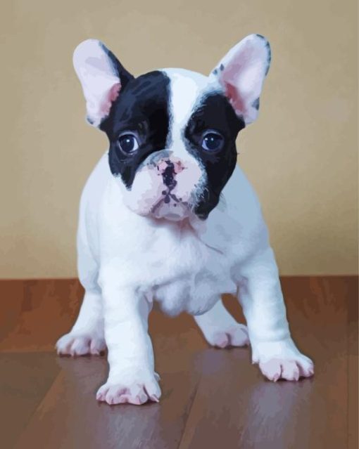 Black and white French bulldog Diamond By Numbers