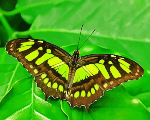 Green black butterfly Diamond Dotz