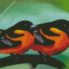baltimore oriole birds Diamond With Numbers