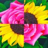 sunflower and rose Diamond Paintings
