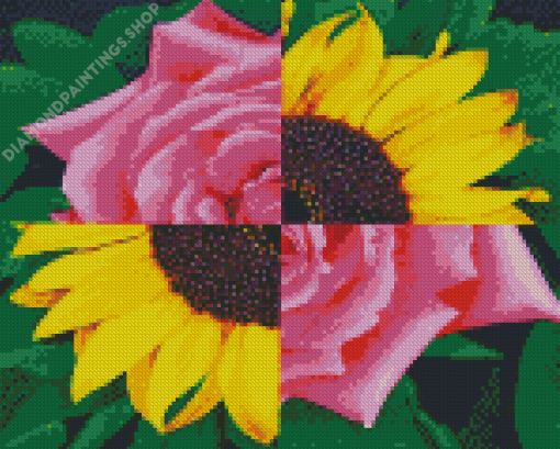 sunflower and rose Diamond Paintings