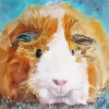 Abstract Guinea pig art Diamond Paints