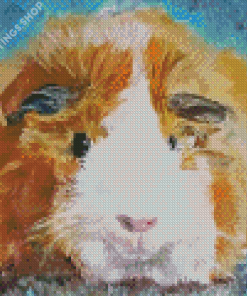 Abstract Guinea pig art Diamond Paints