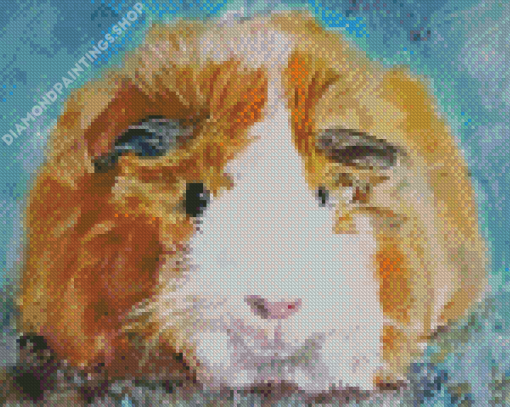 Abstract Guinea pig art Diamond Paints