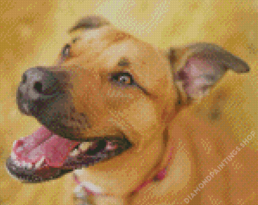 Beige Mountain Cur Diamond With Numbers