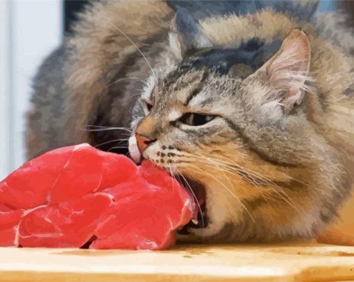 Cat eating meat Diamond Paintings