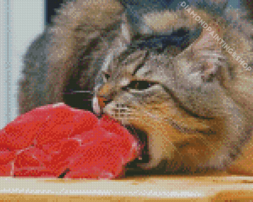 Cat eating meat Diamond Paintings