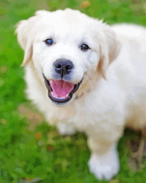 Cute Cream retriever Diamond With Numbers